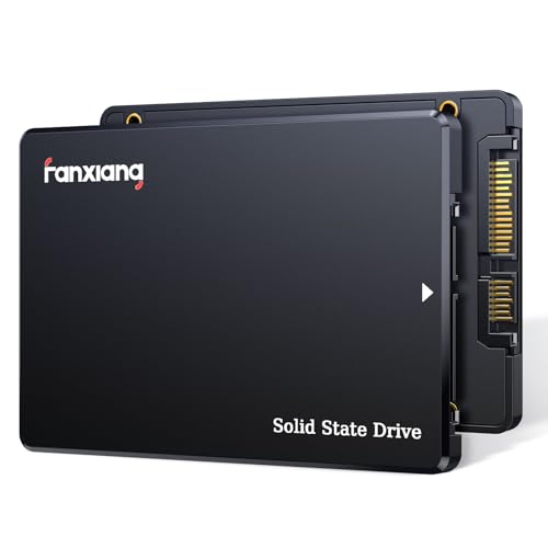 Fanxiang S101q Sata Iii 2 5 Zoll Qlc