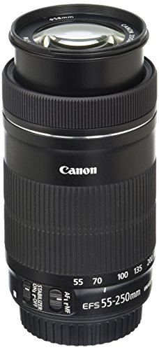 Canon Ef S 55 250mm F4 5 6