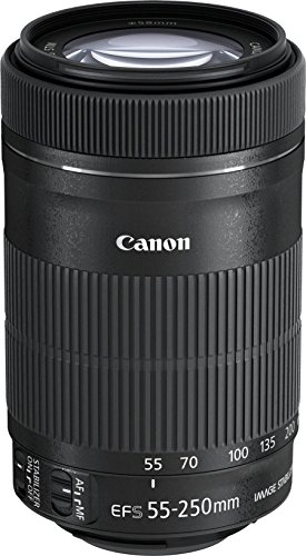 Canon Ef S 55 250mm 1 4 5