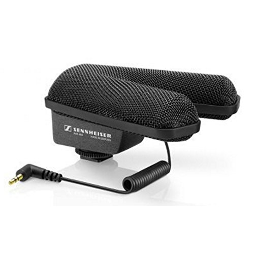Sennheiser Professional Mke 440 Kompaktes Stereo Richtrohrmikrofon Mit
