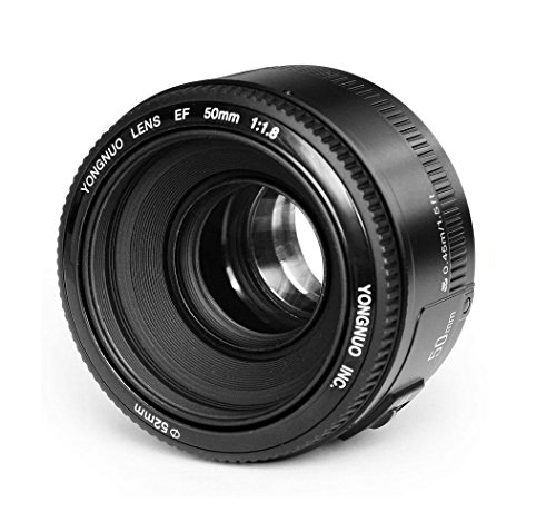 Yongnuo Yn50mm F1 8 Autofokus Objektiv Mit Canon